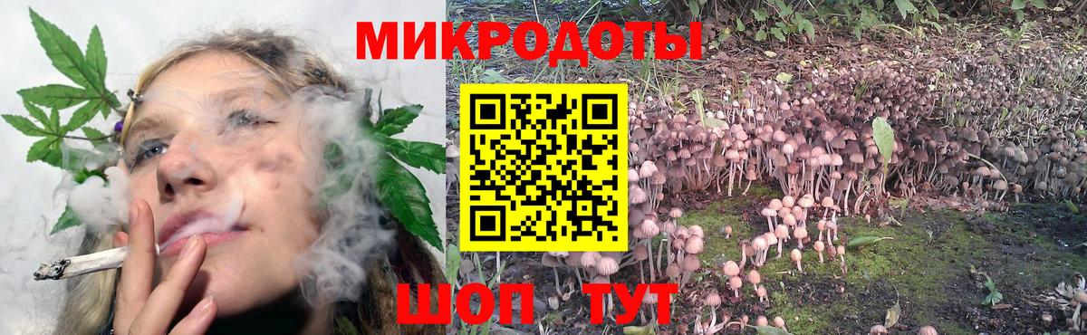 Галлюциногенные грибы GOLDEN TEACHER Артёмовский